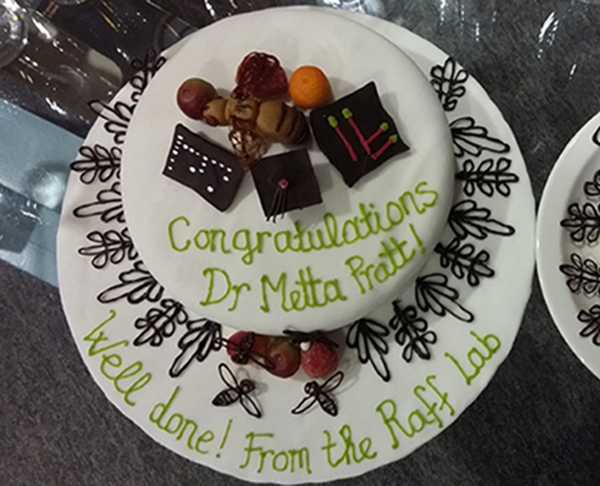 Graduation Cake Graduation cake