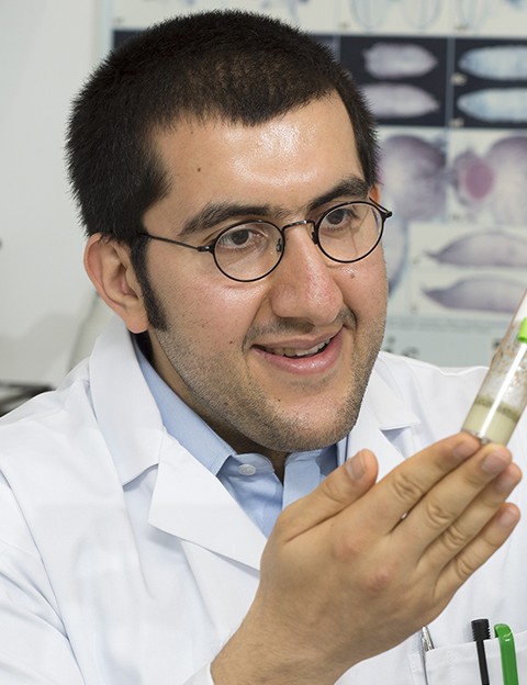 Mohammad Mofatteh